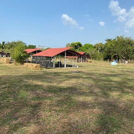 Hotel - Granja De Animales San Basilio De Palenque San Basilio del Palenque ภายนอก รูปภาพ