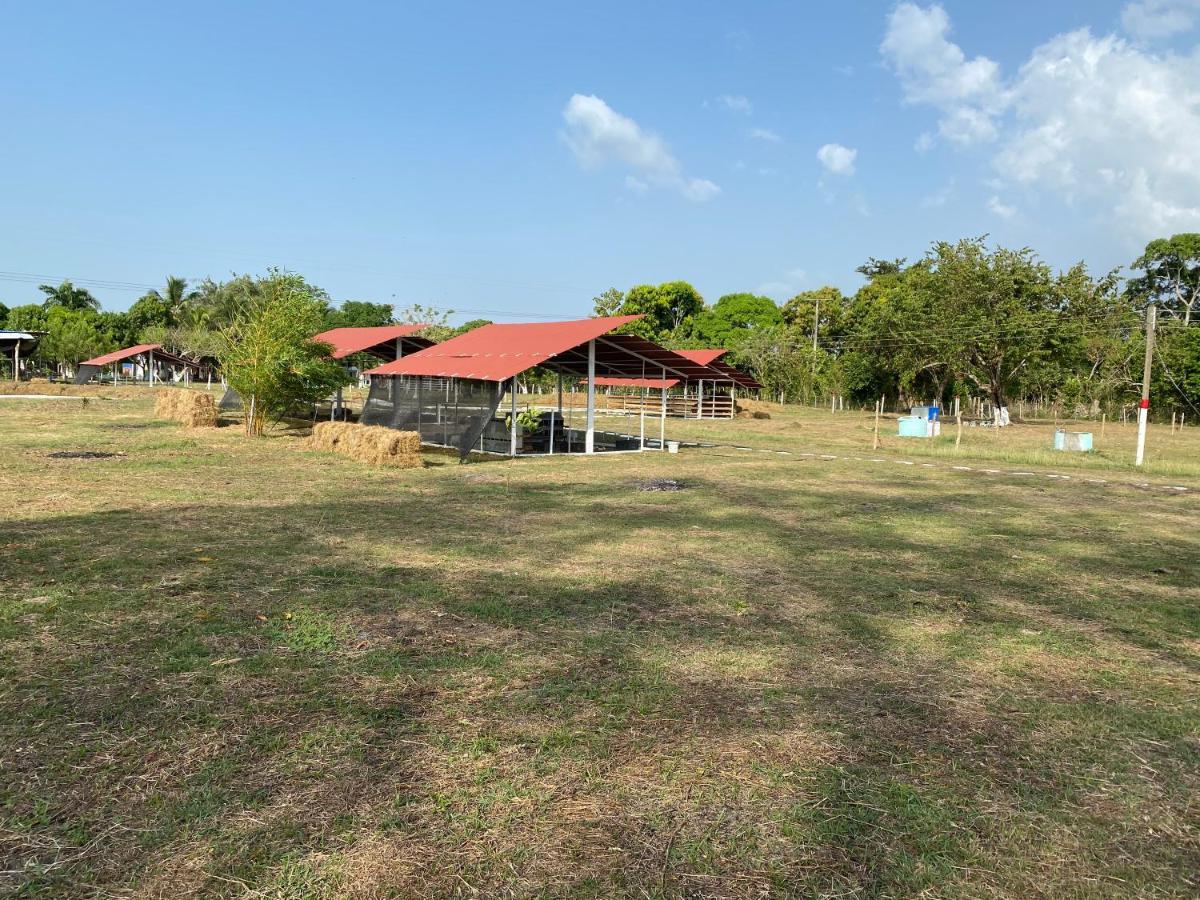 Hotel - Granja De Animales San Basilio De Palenque San Basilio del Palenque ภายนอก รูปภาพ