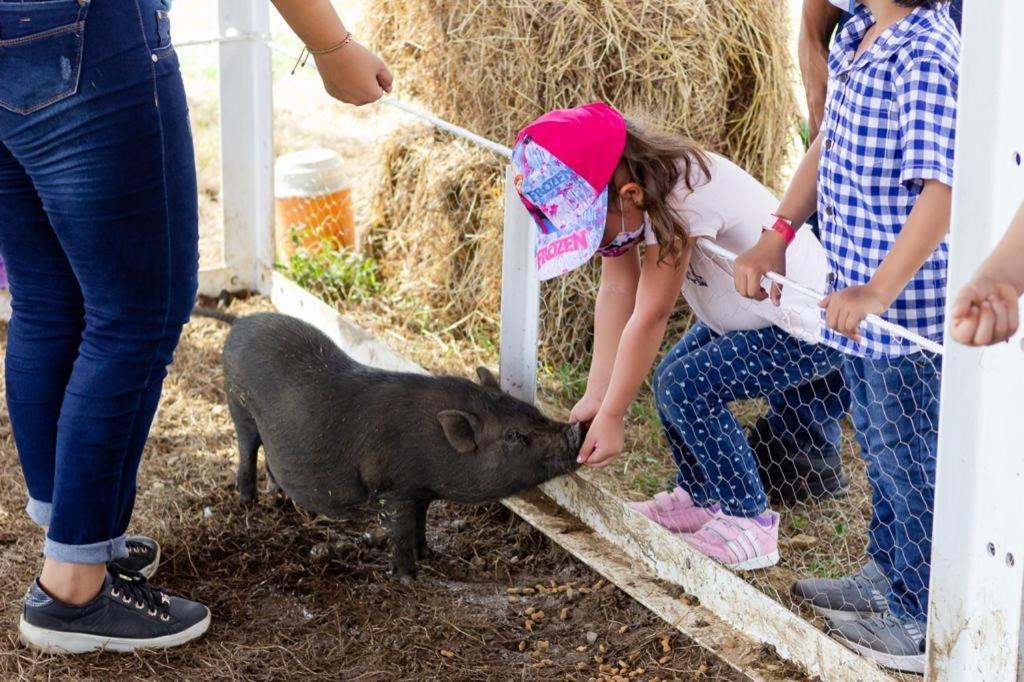 Hotel - Granja De Animales San Basilio De Palenque San Basilio del Palenque ภายนอก รูปภาพ