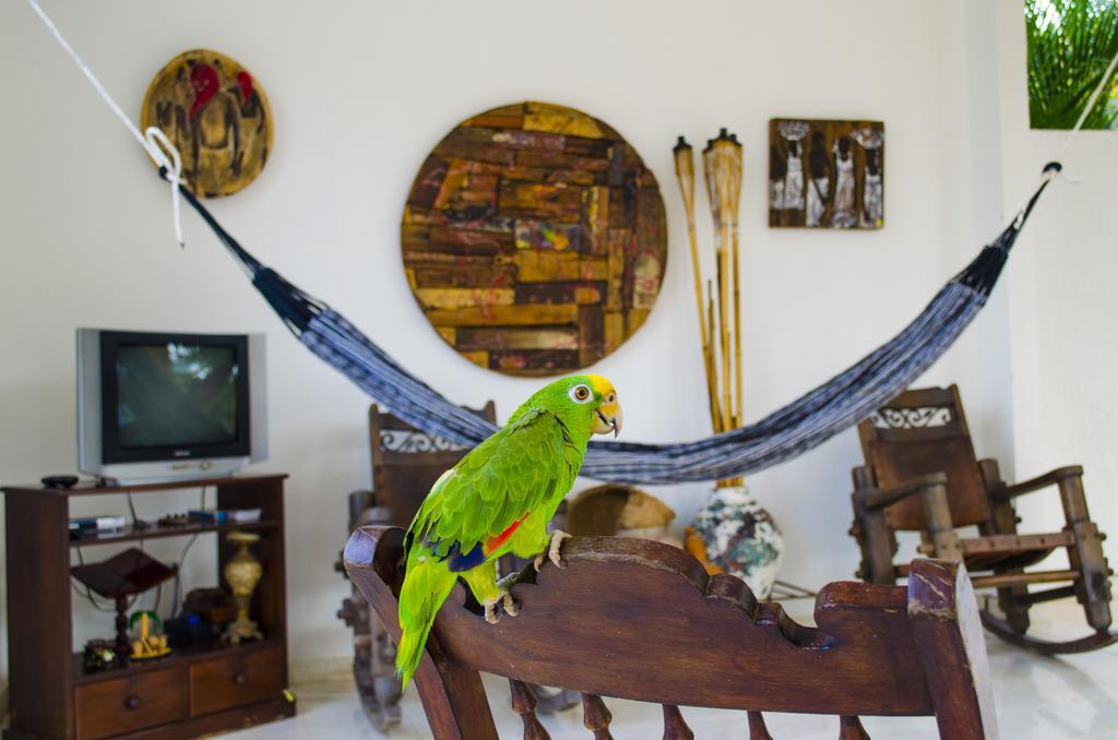 Hotel - Granja De Animales San Basilio De Palenque San Basilio del Palenque ภายนอก รูปภาพ